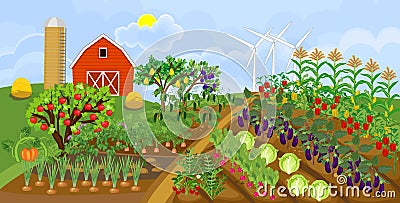 Harvest time. Agricultural landscape. Traditional cartoon farm with many agricultural plants, red barn, silo and wind turbine Vector Illustration